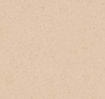 Линолеум Forbo Sarlon Material 19dB 223T4319 sand canyon фото 1 | FLOORDEALER